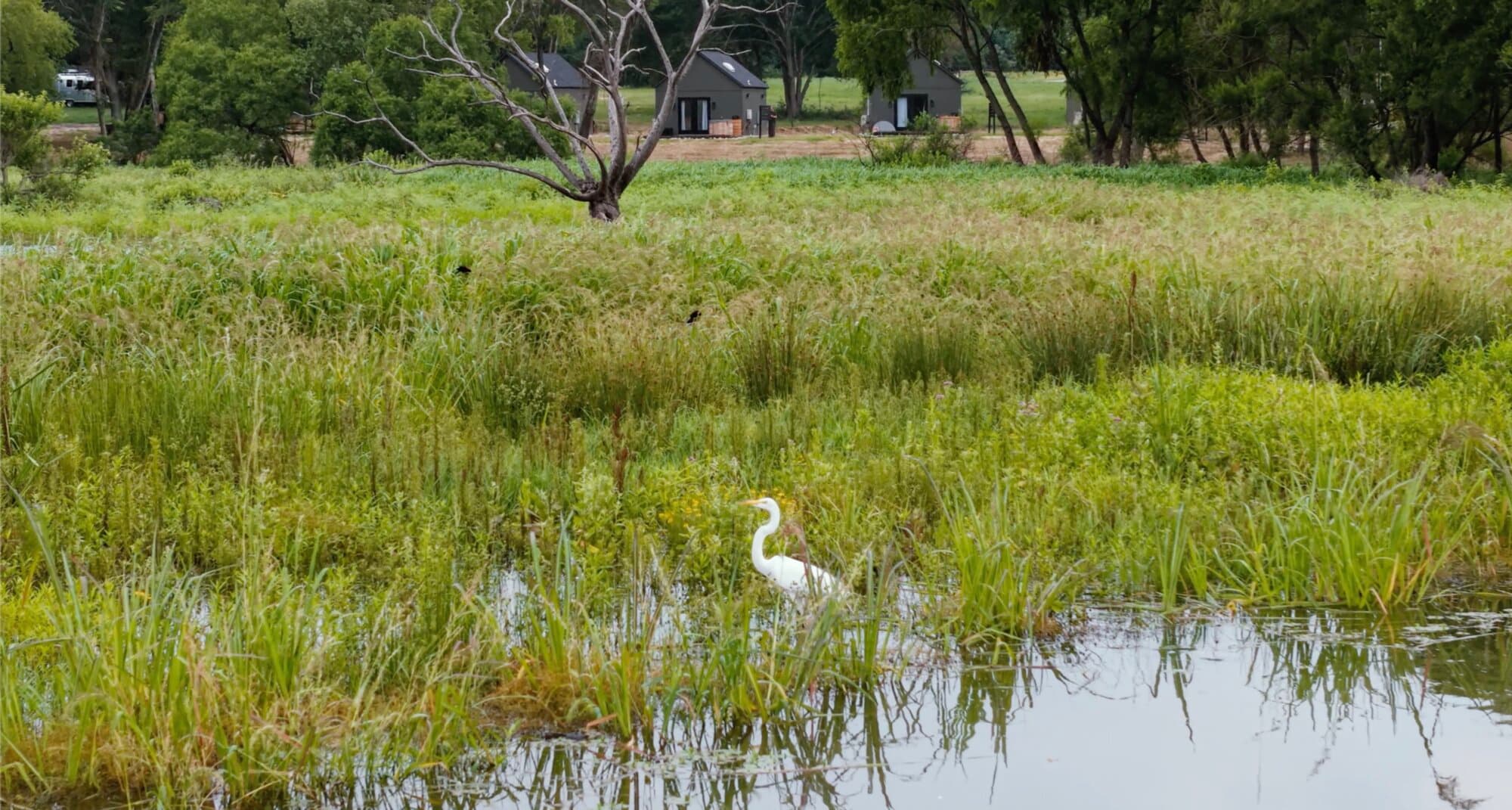 Intimate Wedding Venues in Texas: A Lakefront Weekend Where Everyone Stays