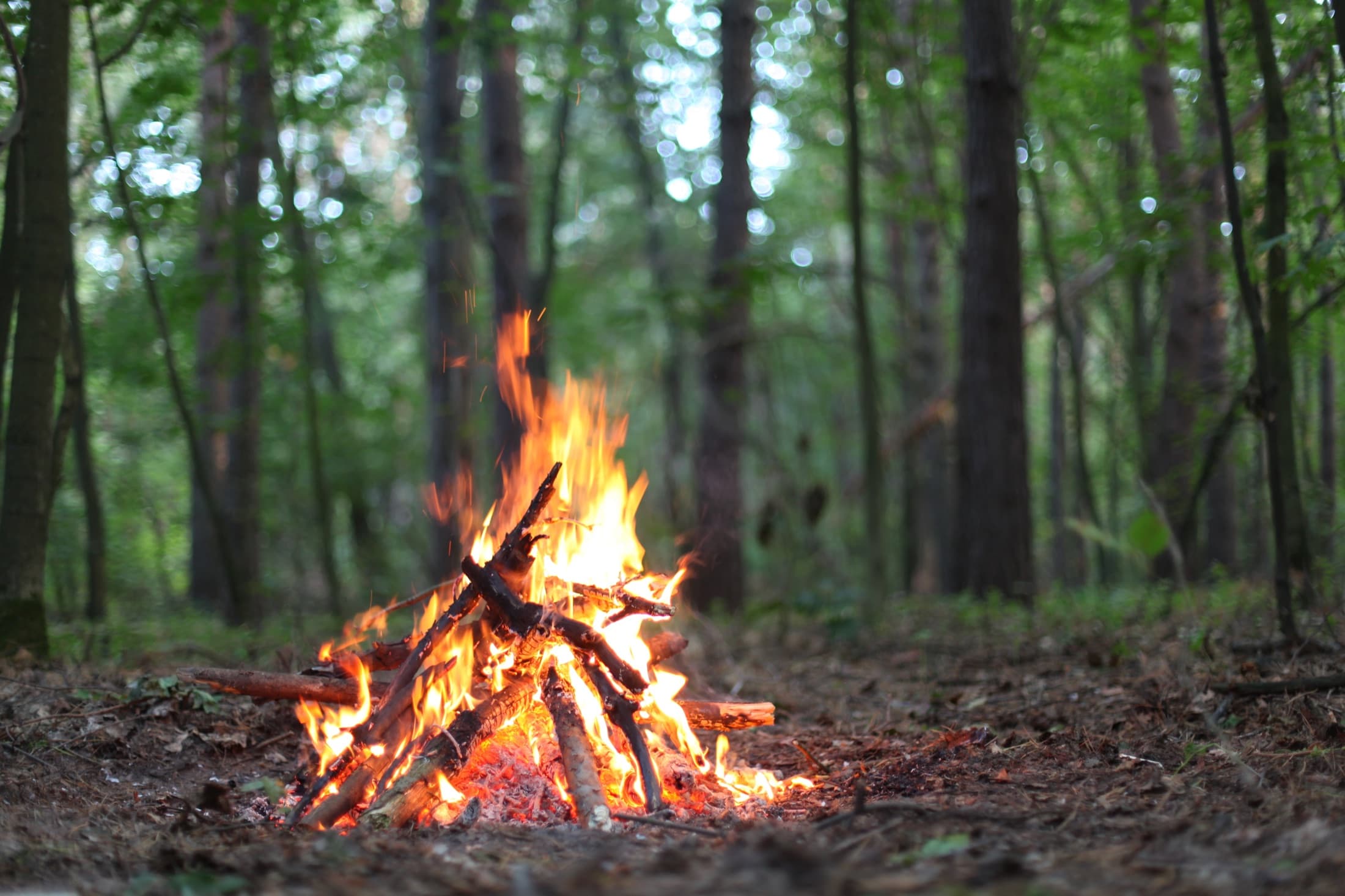 Evening fire at Limestone Fields