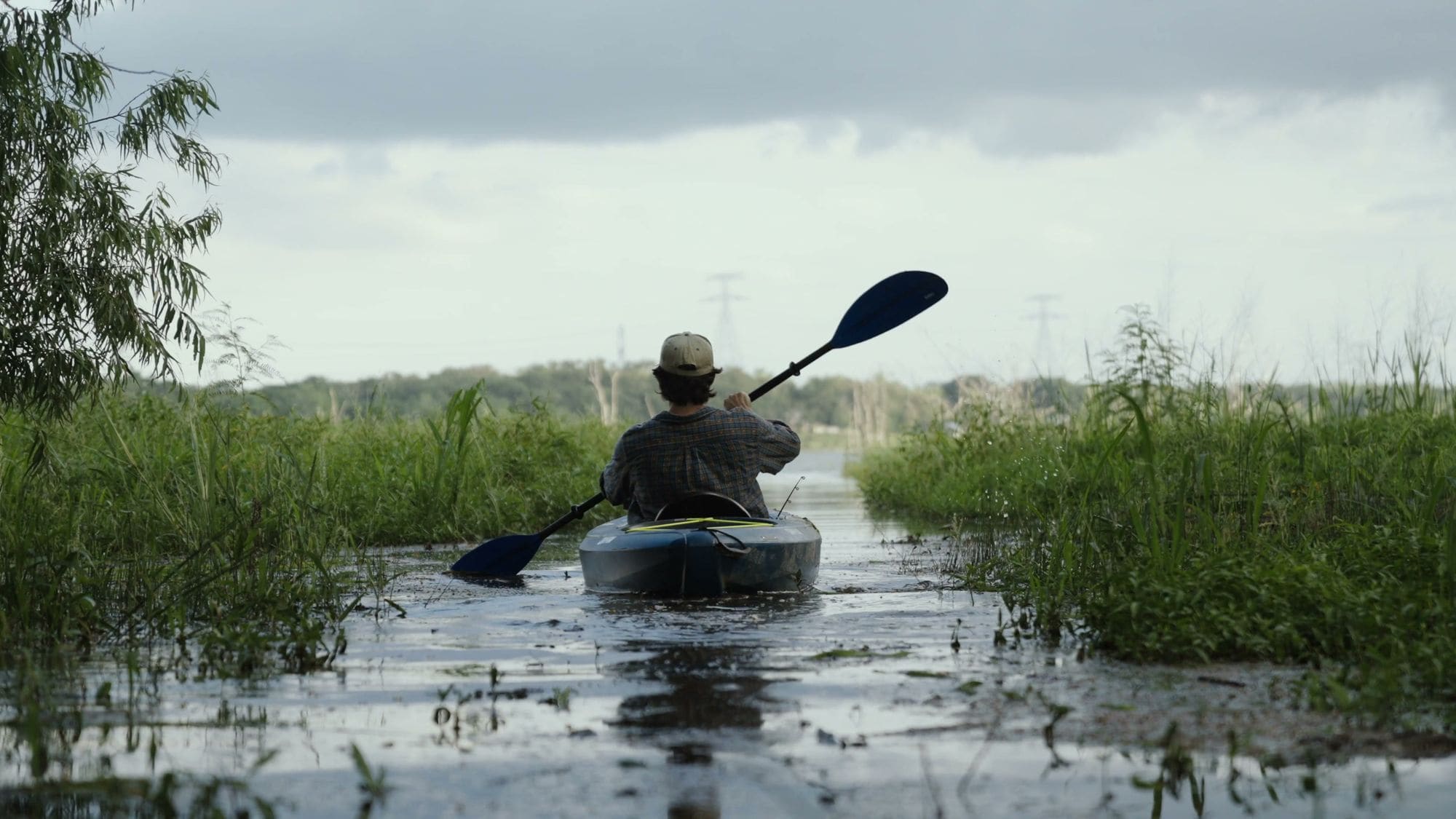 A kayaker paddling through the reeds on Lake Limestone