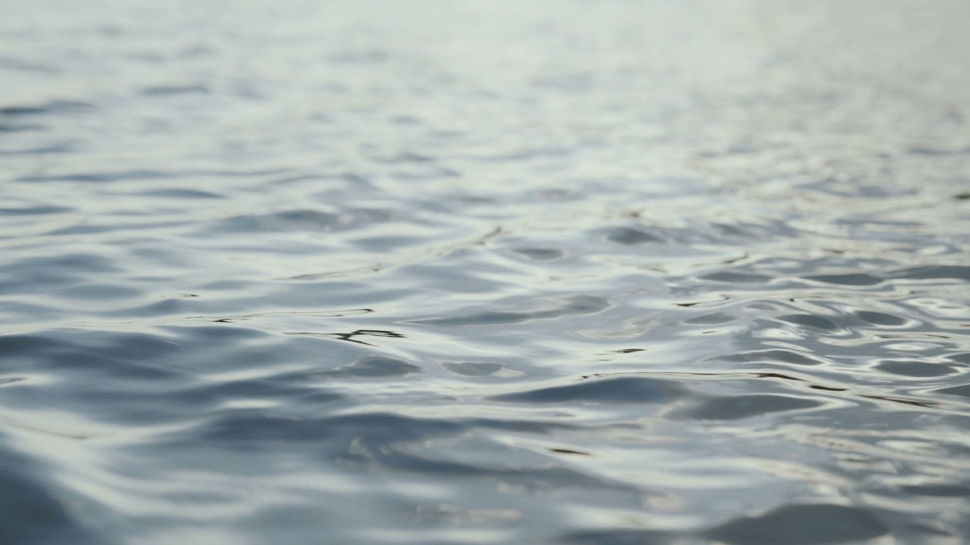 Sunlit ripples on the surface of the lake