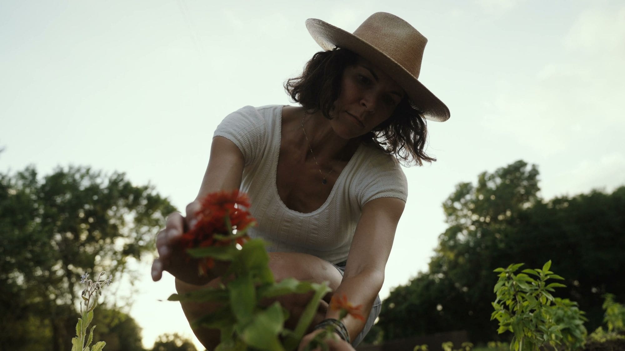 A guest in a straw hat cutting zinnias in the garden