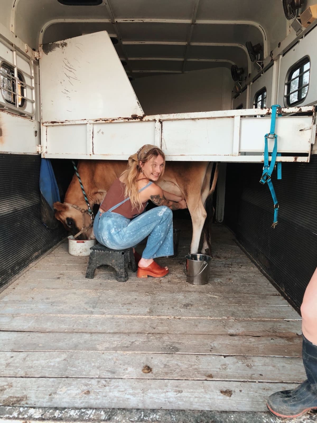 Hannah Slattery milking a Jersey cow